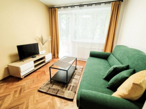 Cozy Noko Apartments